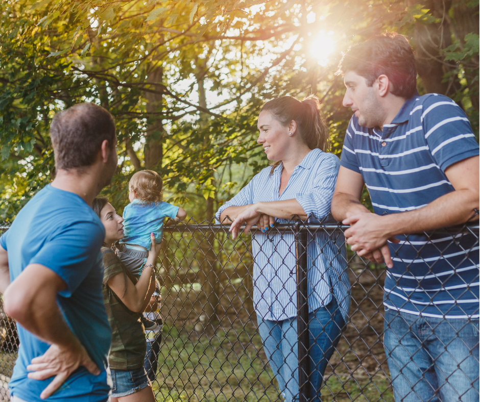 Kiedy wymienić ogrodzenie z siatki